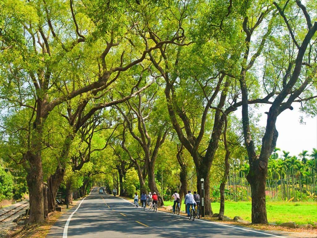 集集綠色隧道