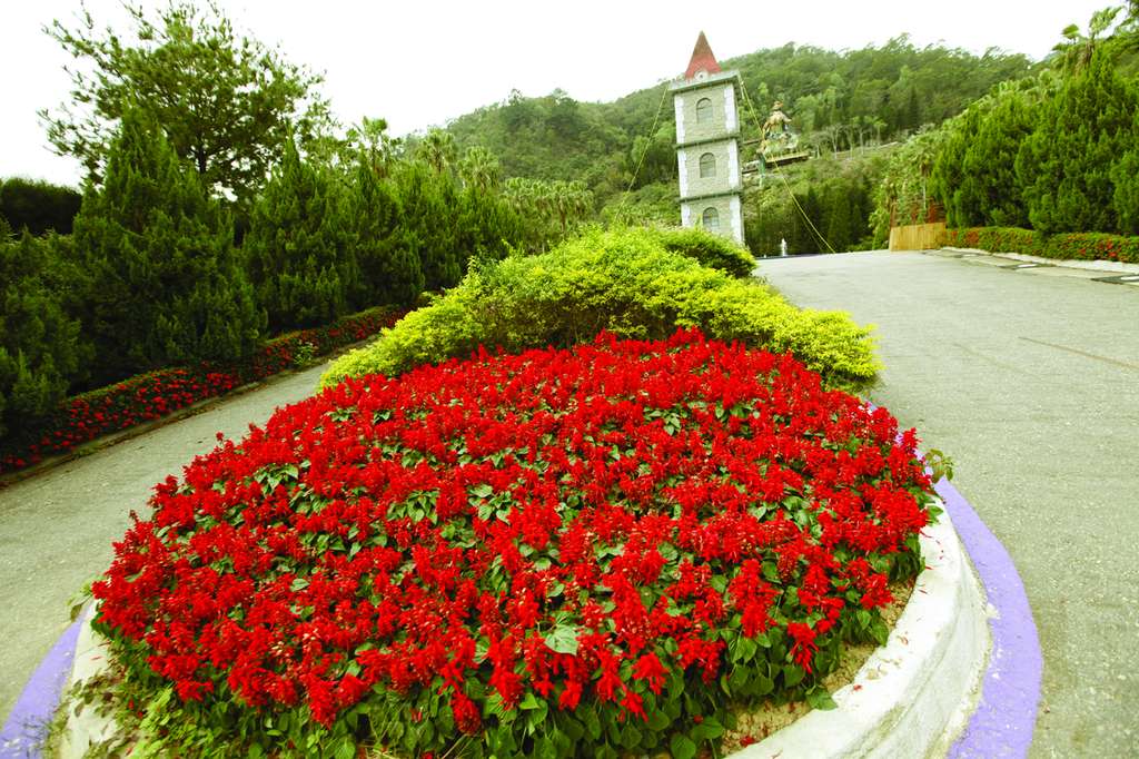 泰雅渡假村紅色花朵