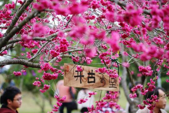 花現暨大