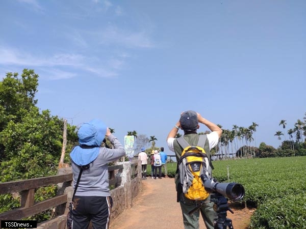 新聞橫山賞鷹步道(參山處提供)