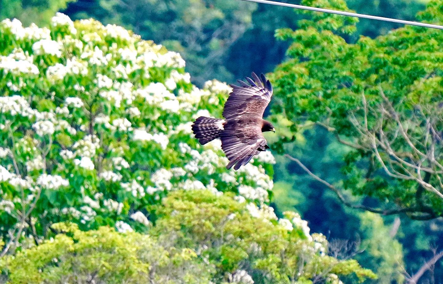 圖片授權:IG @chen2343 圖片授權:IG @chen2343