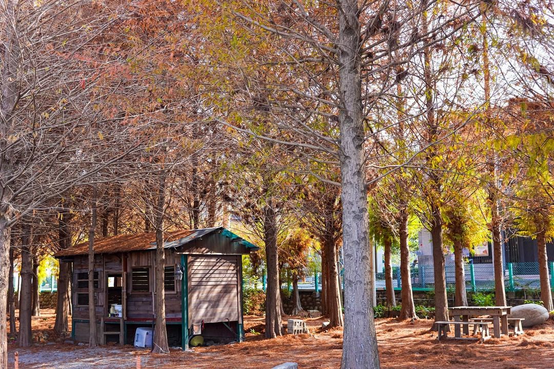 圖片授權：IG @ jack590202