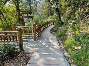 10.東埔國小後方步道整修 後