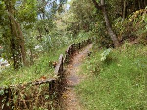 9.東埔國小後方步道整修 前