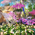 埔里花卉展明登場