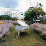 中寮溪畔園區打卡熱點