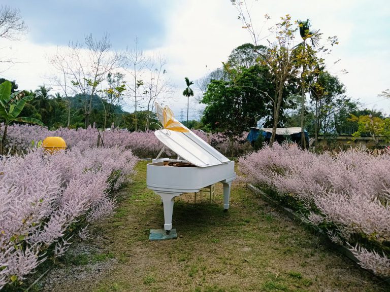 中寮溪畔園區打卡熱點