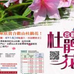 2026合歡山杜鵑花季