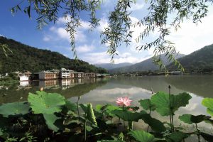 埔里 鯉魚潭 湖光水色 0