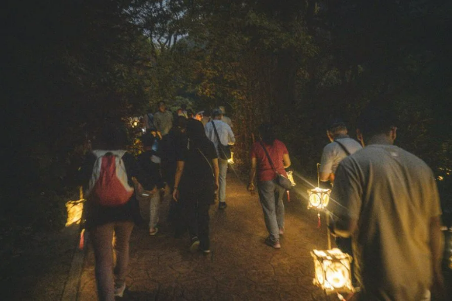 「螢之聲」點亮南投中寮山林 成永續體驗新典範