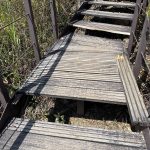 九九峰森林步道整修半年