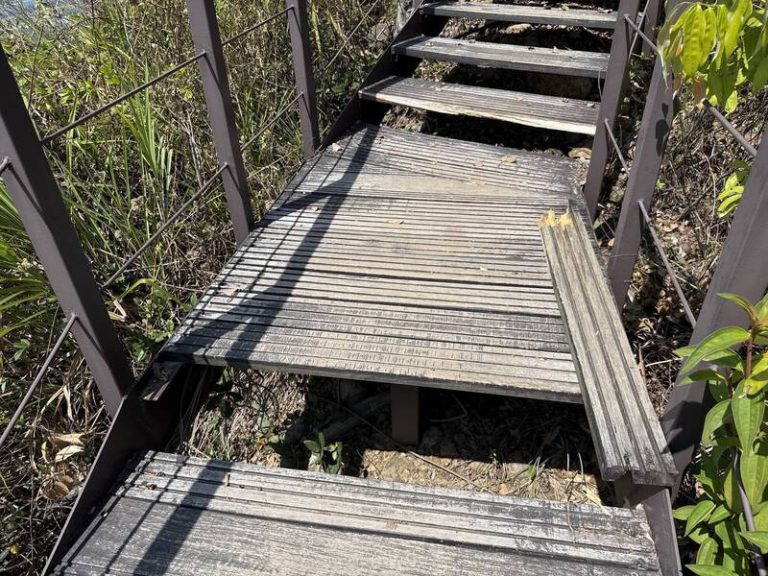 九九峰森林步道整修半年