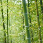 南投縣竹博會7月登場