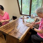 日月潭芒萁創新遊程