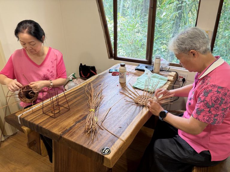 日月潭芒萁創新遊程