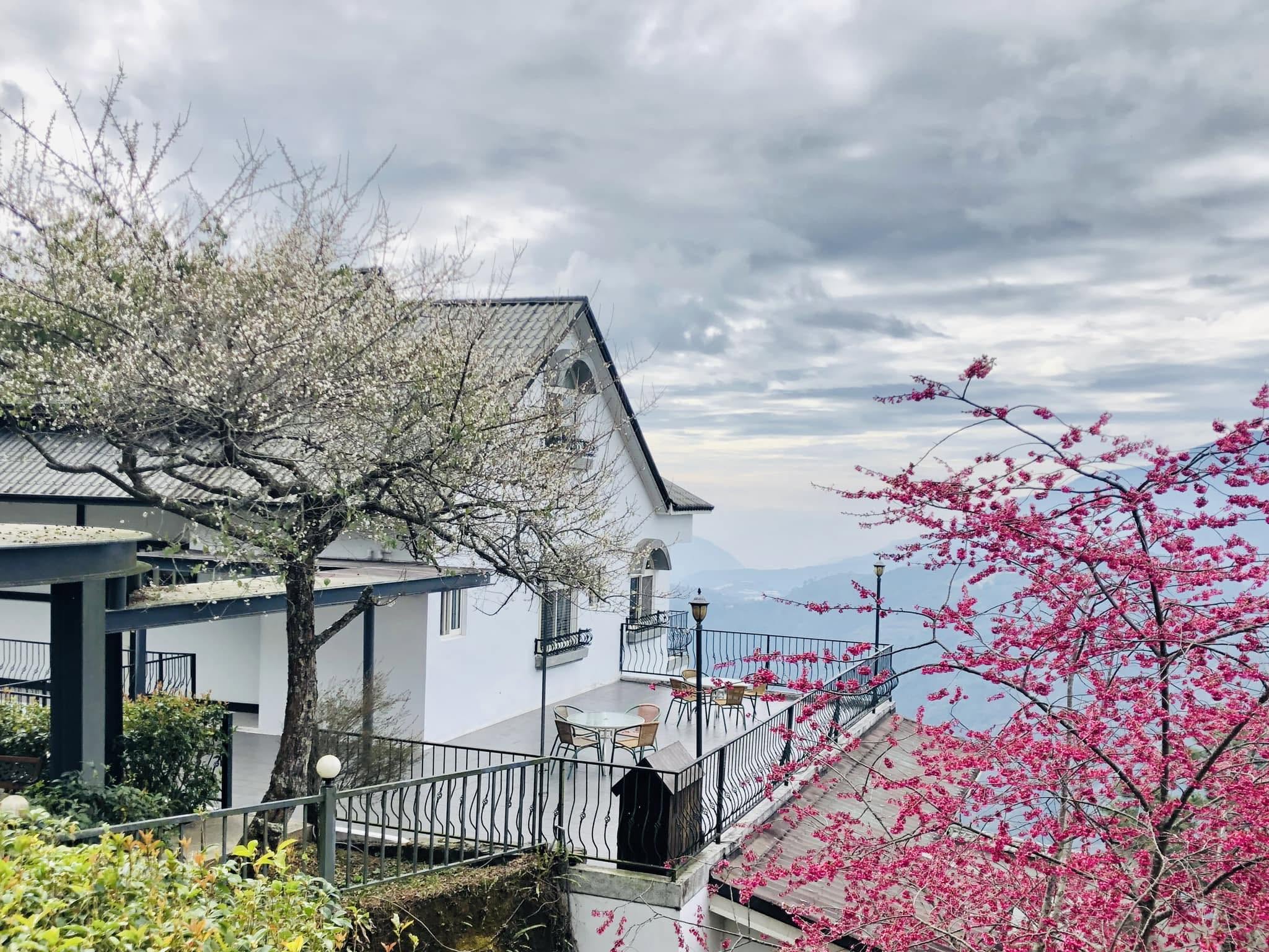 清境天星山莊