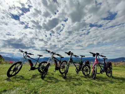 481669893 3103475626478436 3938451470483097373 n