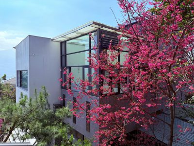 488666852 1111117864363560 4354815531538936213 n