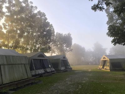 493897897 1238568234943240 8553667235761104350 n