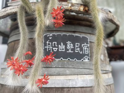 509435578 1227307622740500 5508630261168796092 n