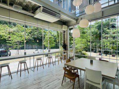 521547865 1266694552134033 4181179267576221599 n