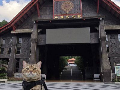 529345361 1242087941290675 4501117972868518984 n