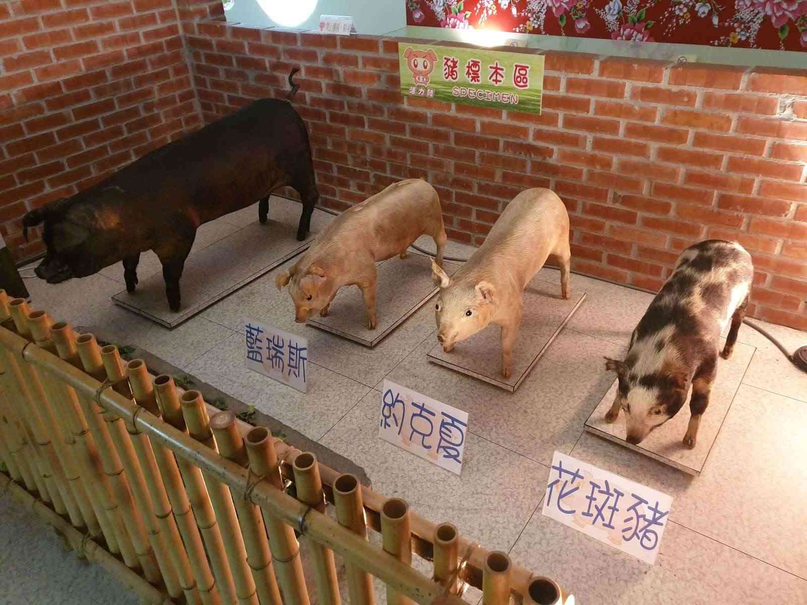 香里活力豬展覽館/ 攝影者: 蔡大緯

(由第三方資訊提供)