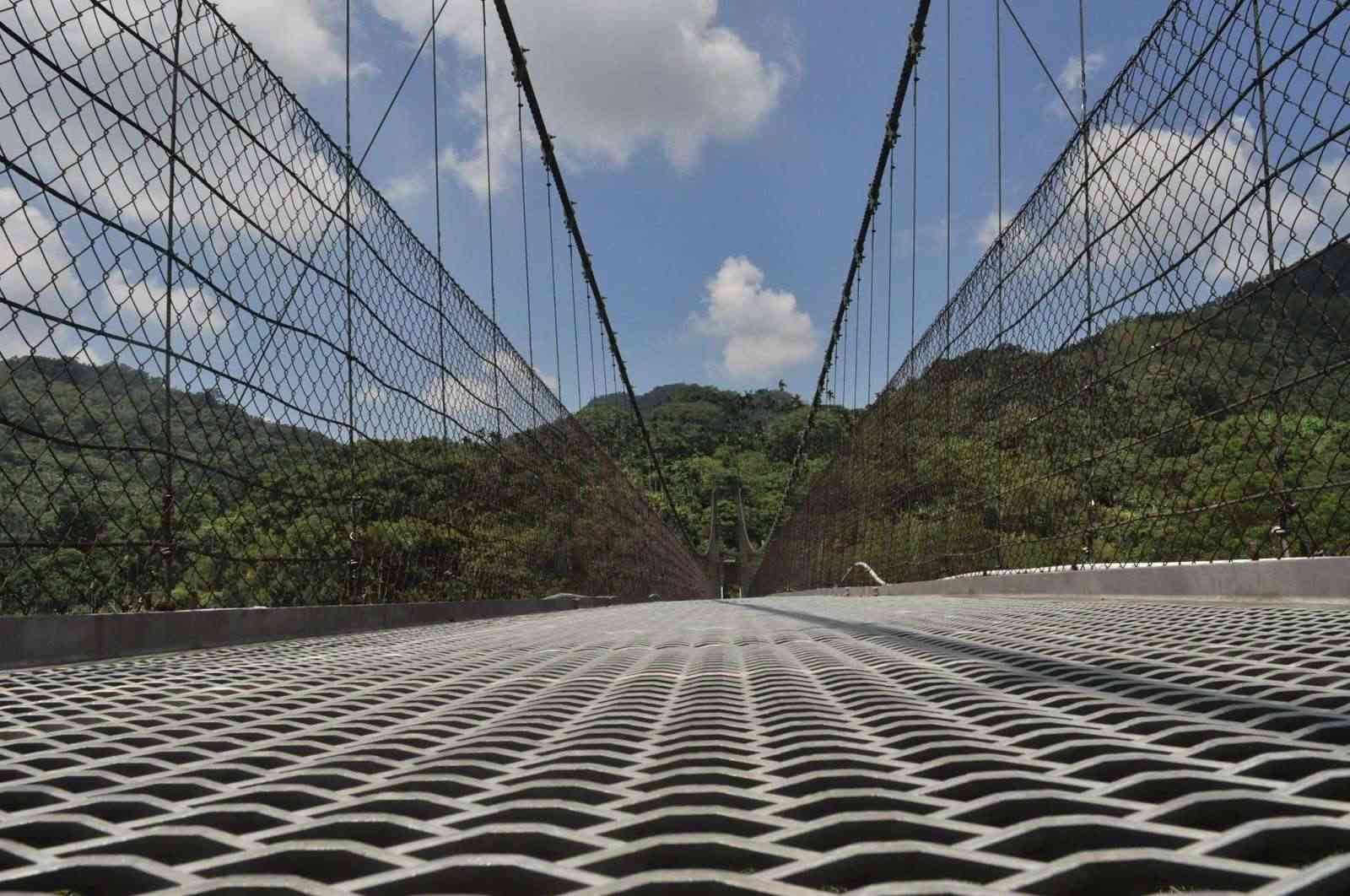 龍興吊橋/ 攝影者: 劉文邦

(由第三方資訊提供)